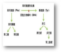 出生缺陷科普系列||不食人间烟火的孩子(下篇)